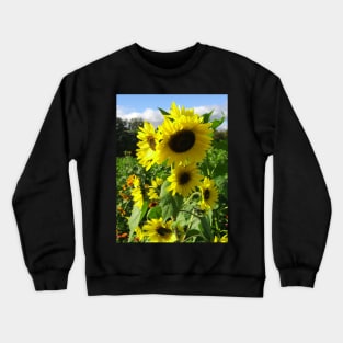 Sunflowers in a field Crewneck Sweatshirt